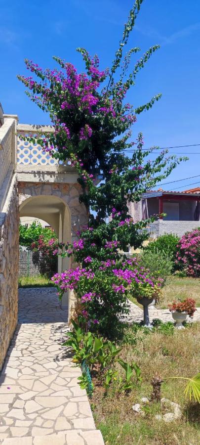 Villa Kadinela, 200M From Kamenjak, Huge Quiet Garden With Barbecue, 2 New Kitchens Premantura Bagian luar foto