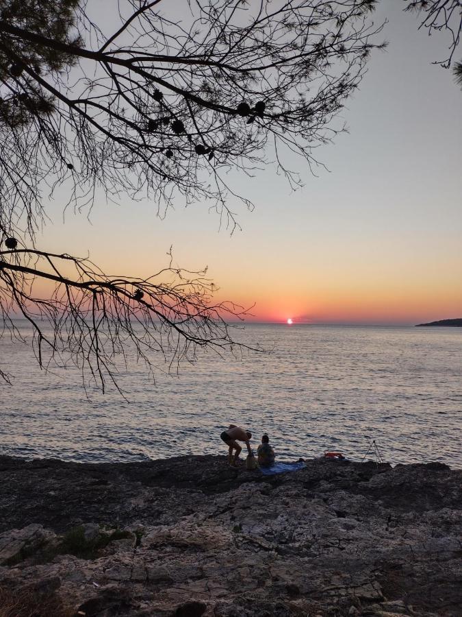 Villa Kadinela, 200M From Kamenjak, Huge Quiet Garden With Barbecue, 2 New Kitchens Premantura Bagian luar foto
