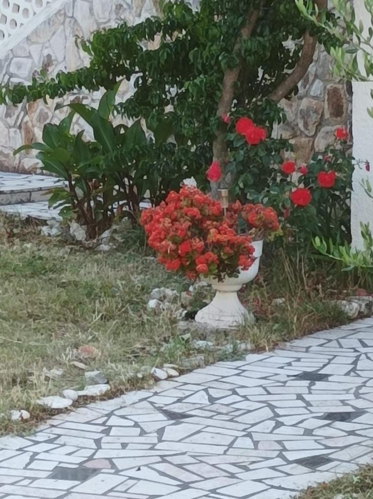 Villa Kadinela, 200M From Kamenjak, Huge Quiet Garden With Barbecue, 2 New Kitchens Premantura Bagian luar foto